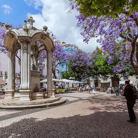 água-da-flor Apartamento Lisboa