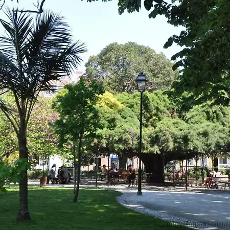 Apartament Agua-da-flor Lizbona